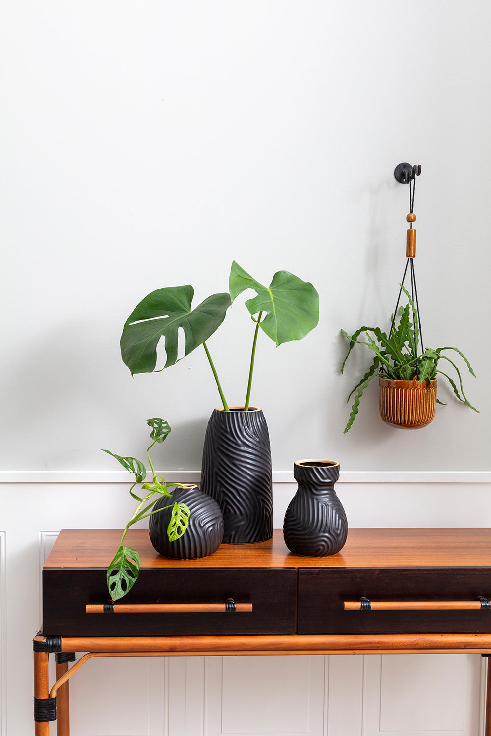 Zeno Collection
