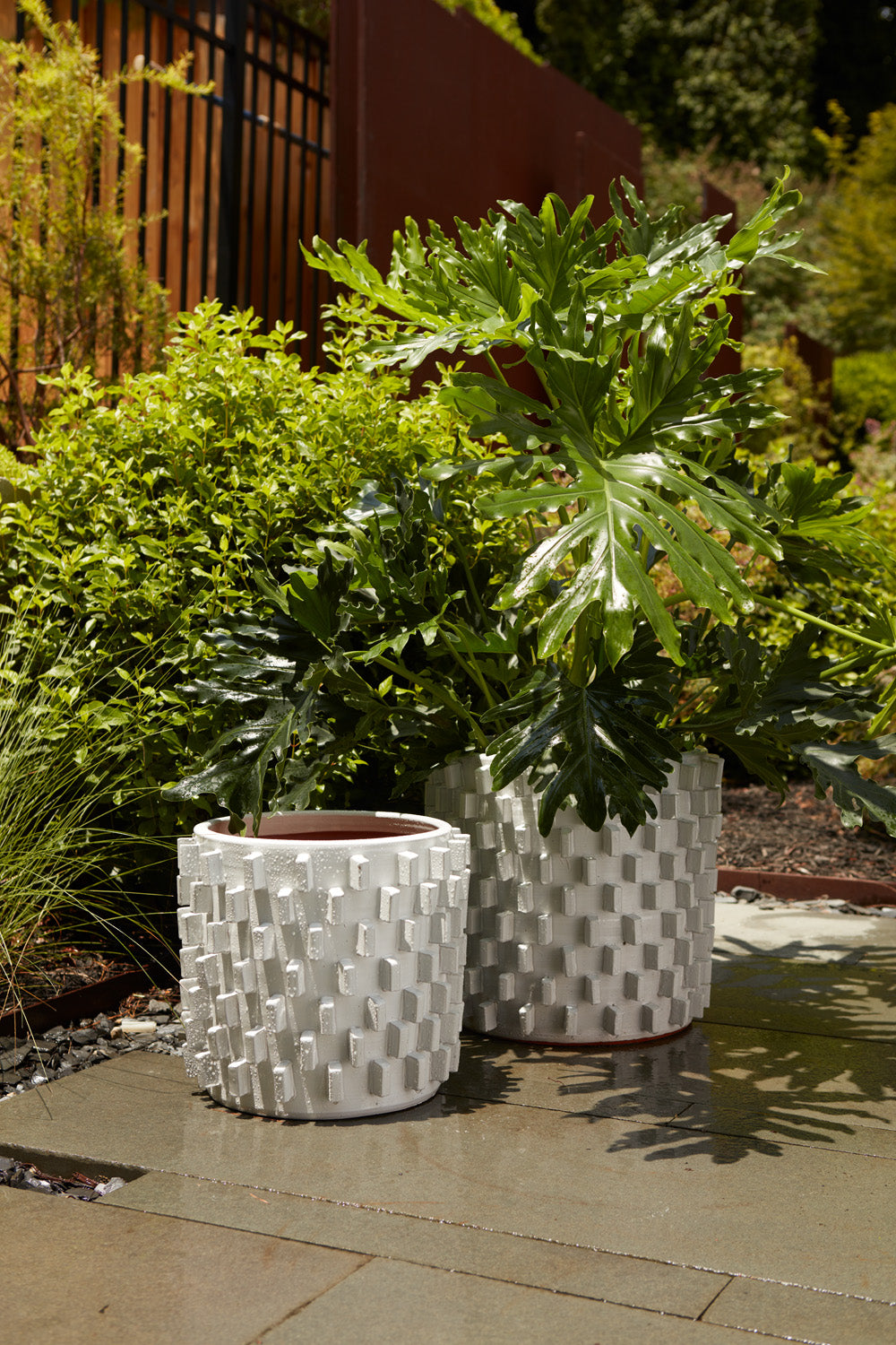Zona Pot