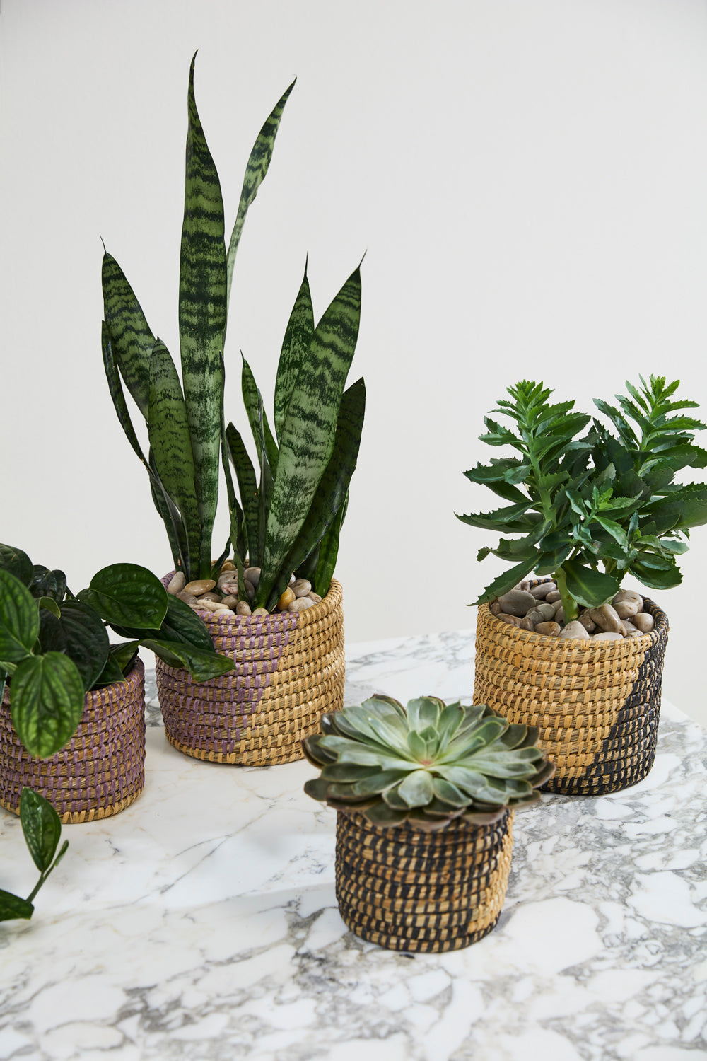 Zouk Basket - Set of 2