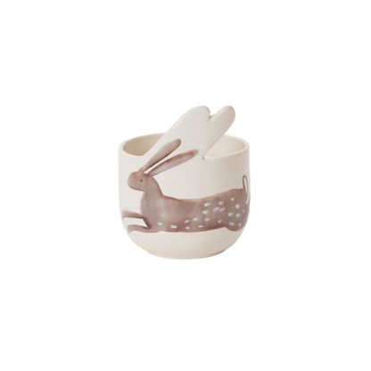 Celebrate Spring Collection