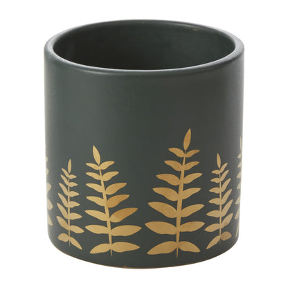 Midwinter Fern Collection