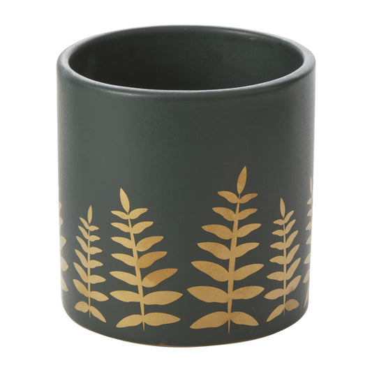 Midwinter Fern Collection