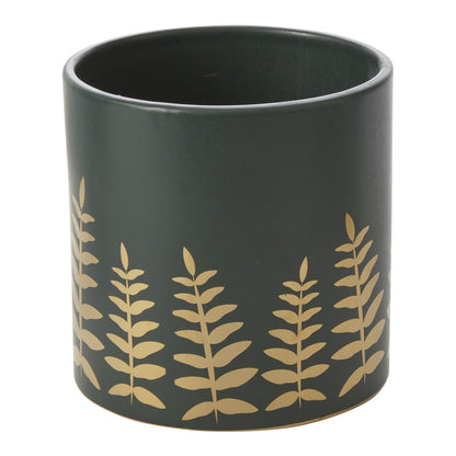 Midwinter Fern Collection