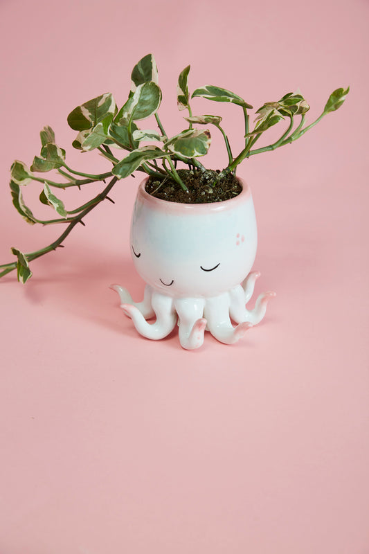 Open Arms Octopus Pot