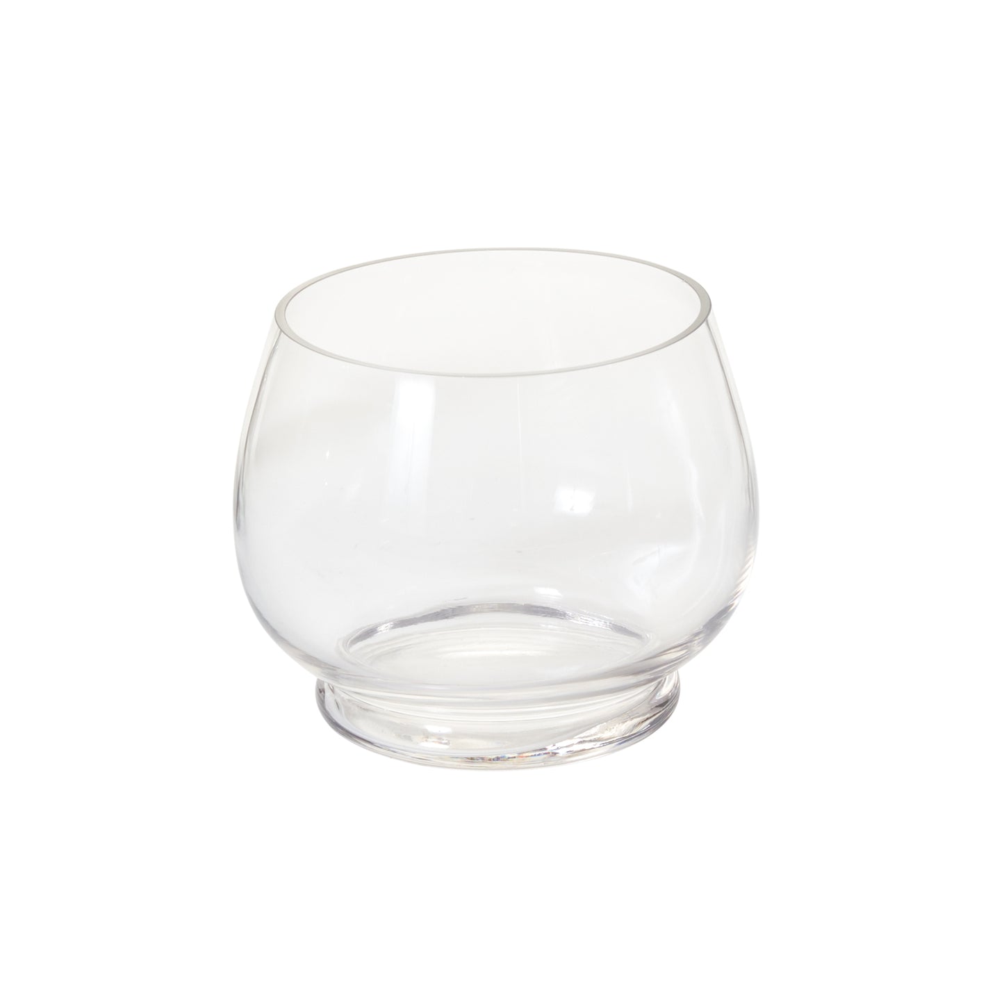 Discovery Terrarium