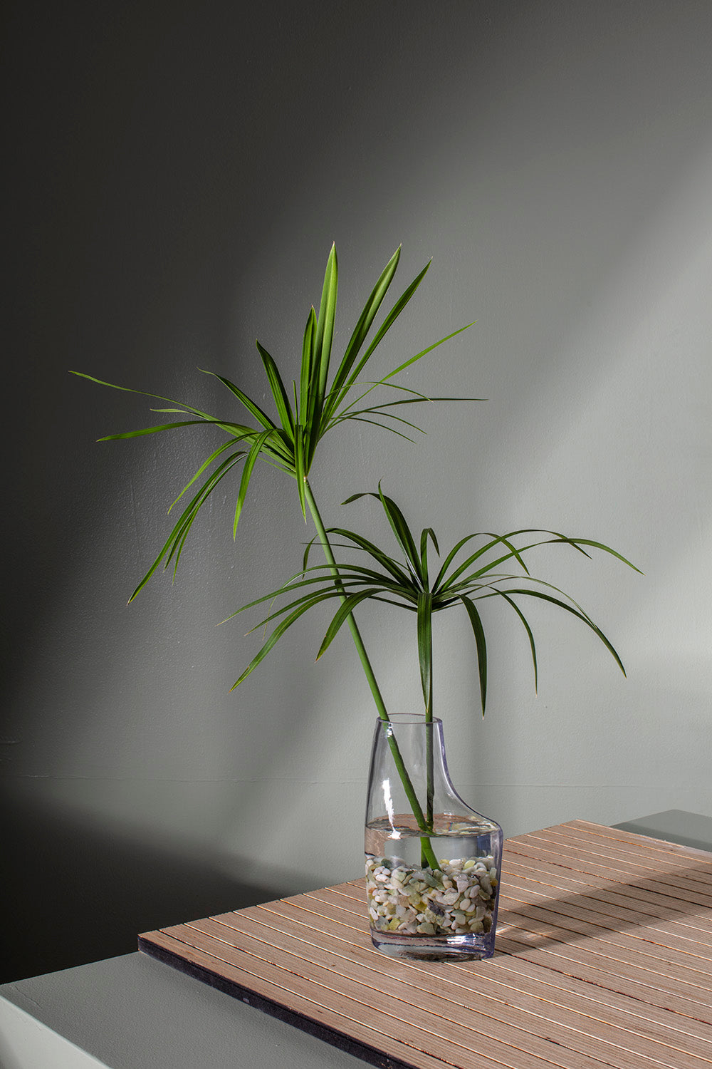 Asymmetria Vase
