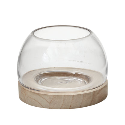 Jonah Terrarium
