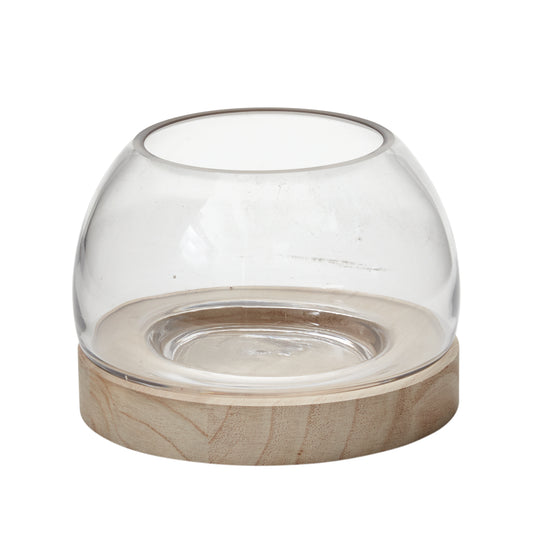Jonah Terrarium