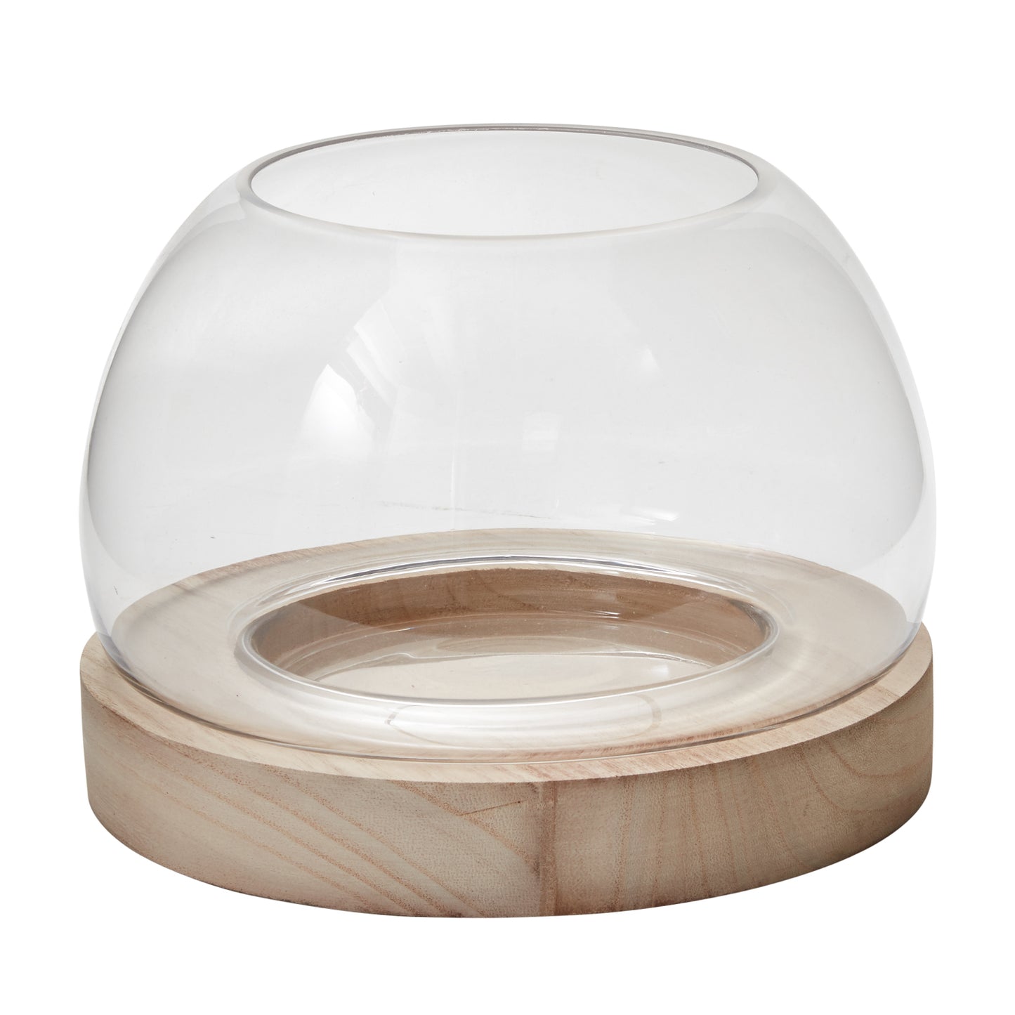 Jonah Terrarium