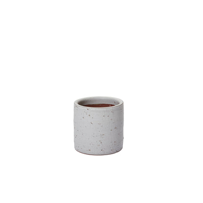 Adelhart Collection