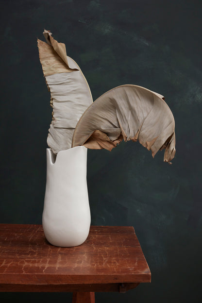 Caldera Collection