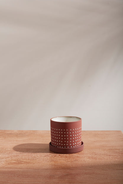 Salamanca Pot