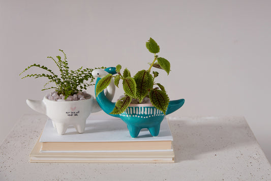 Dino Love Pots - Set of 2