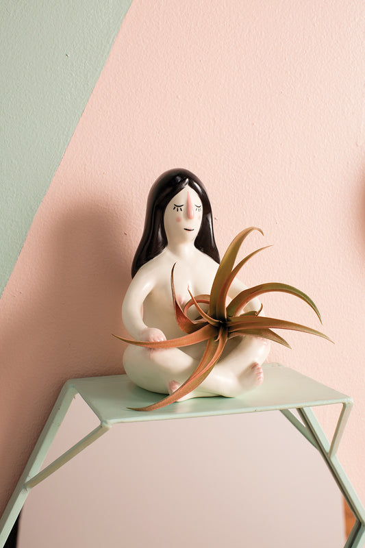 Nuna Tillandsia Holder