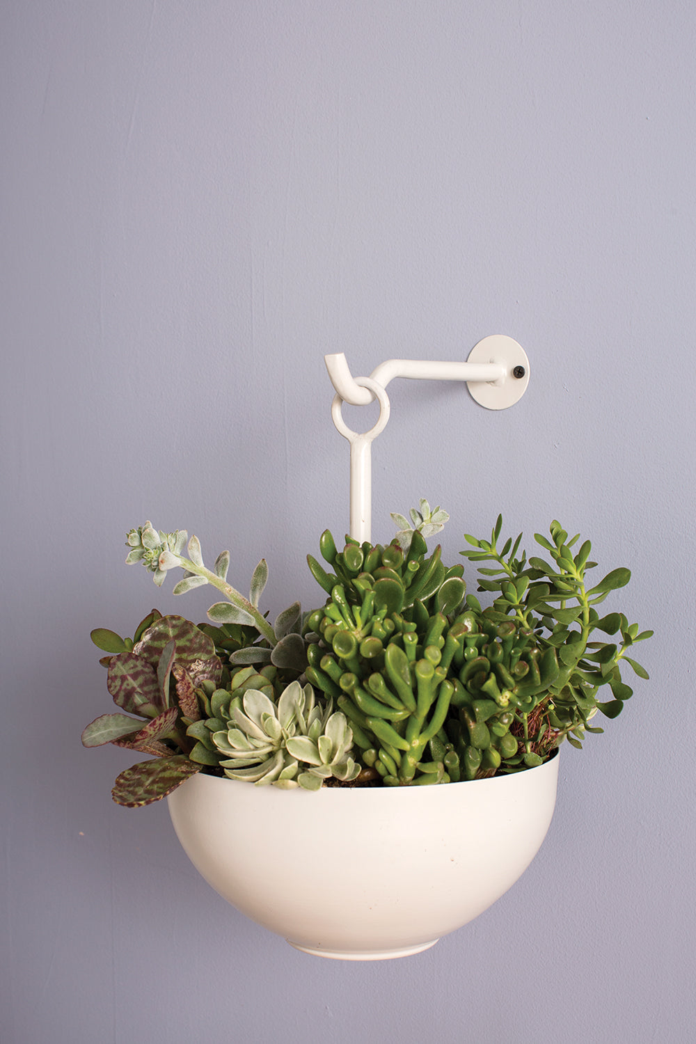 Leti Hanging Bowl