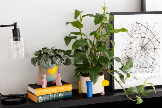 Clementine Footed Pot