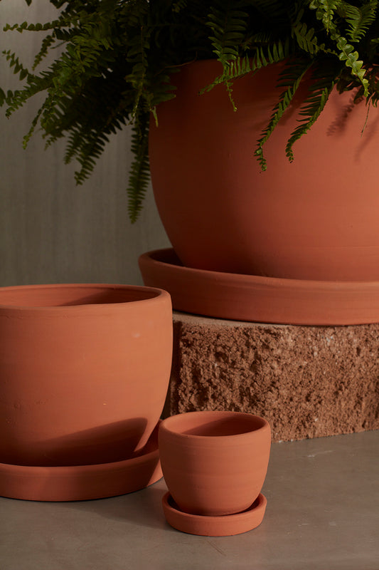 Baden Pot
