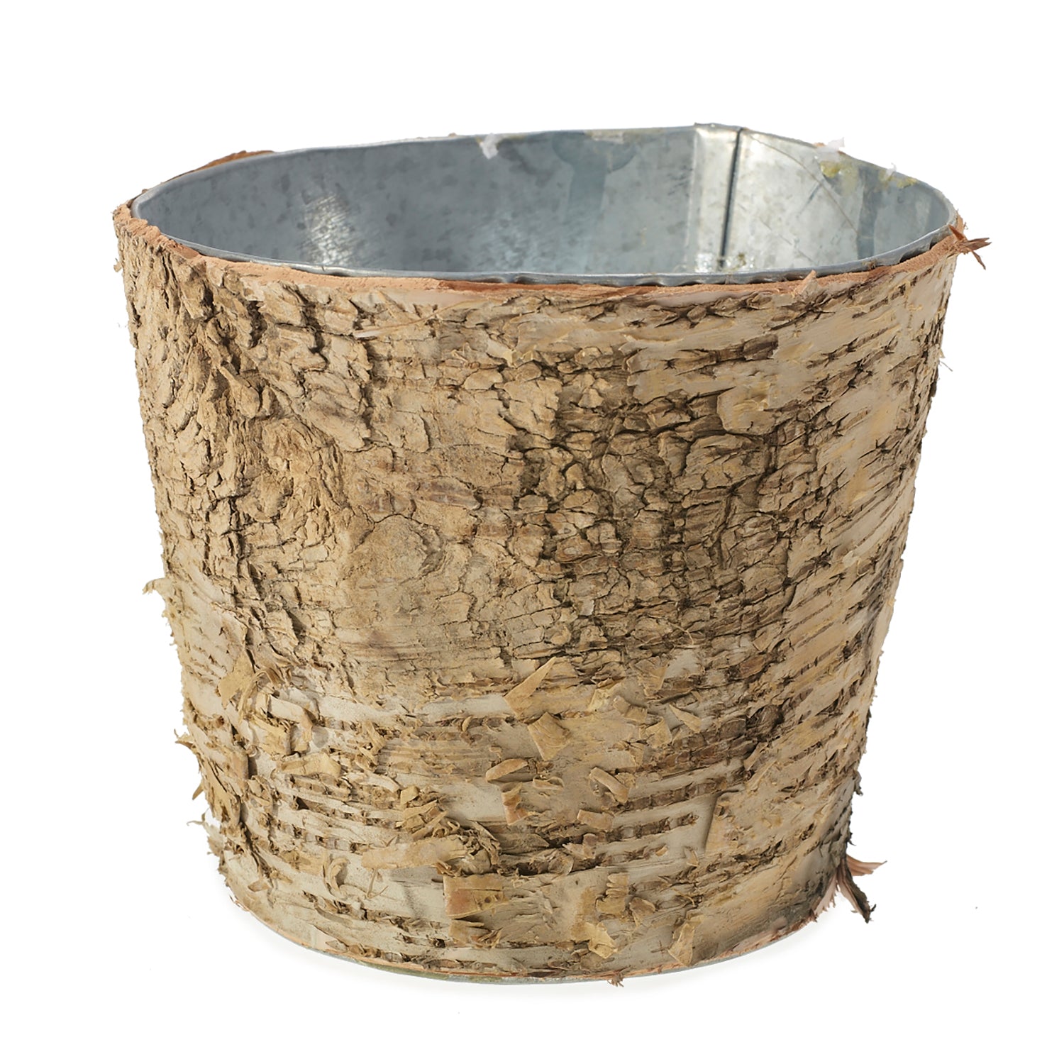 Birch Collection with Zinc