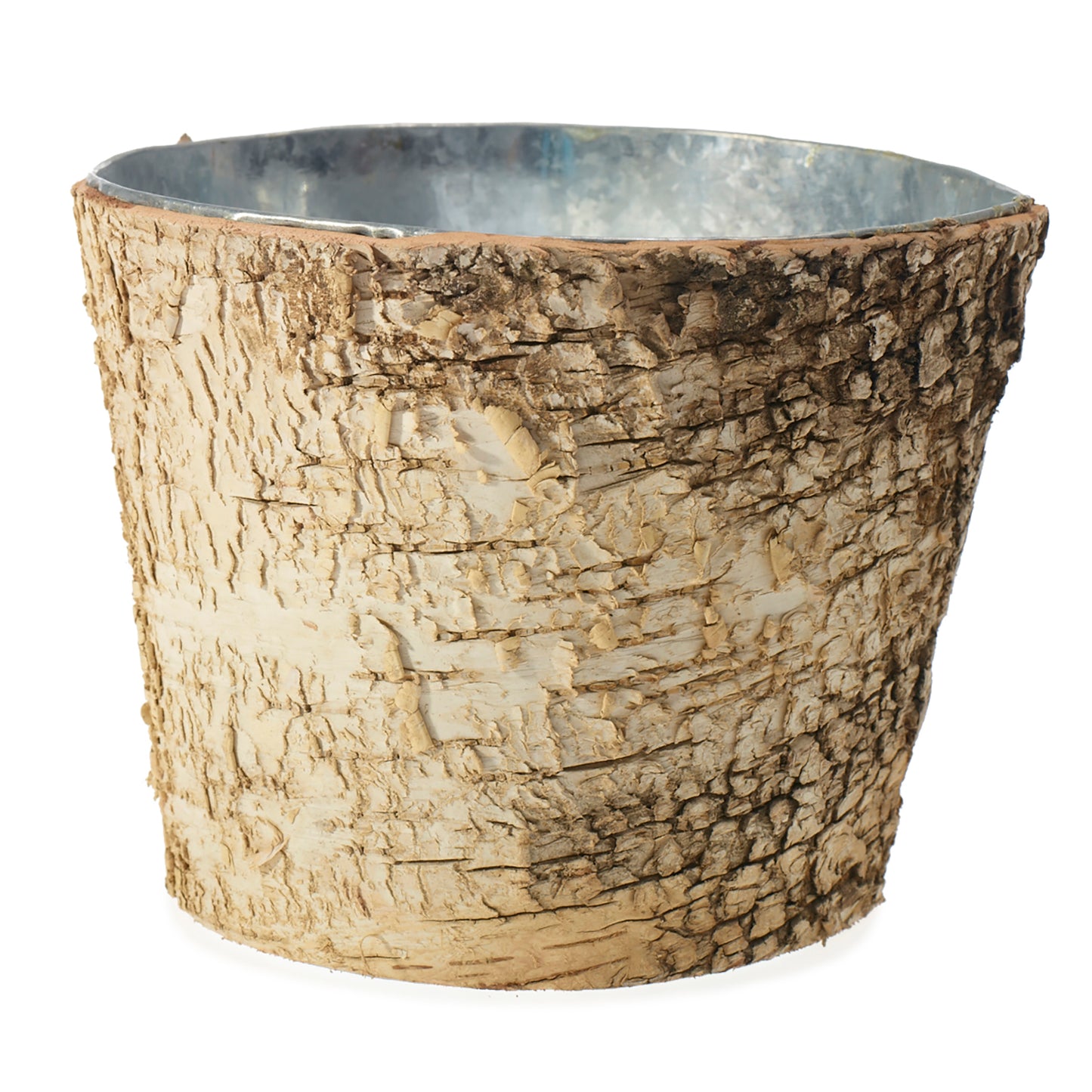 Birch Collection with Zinc