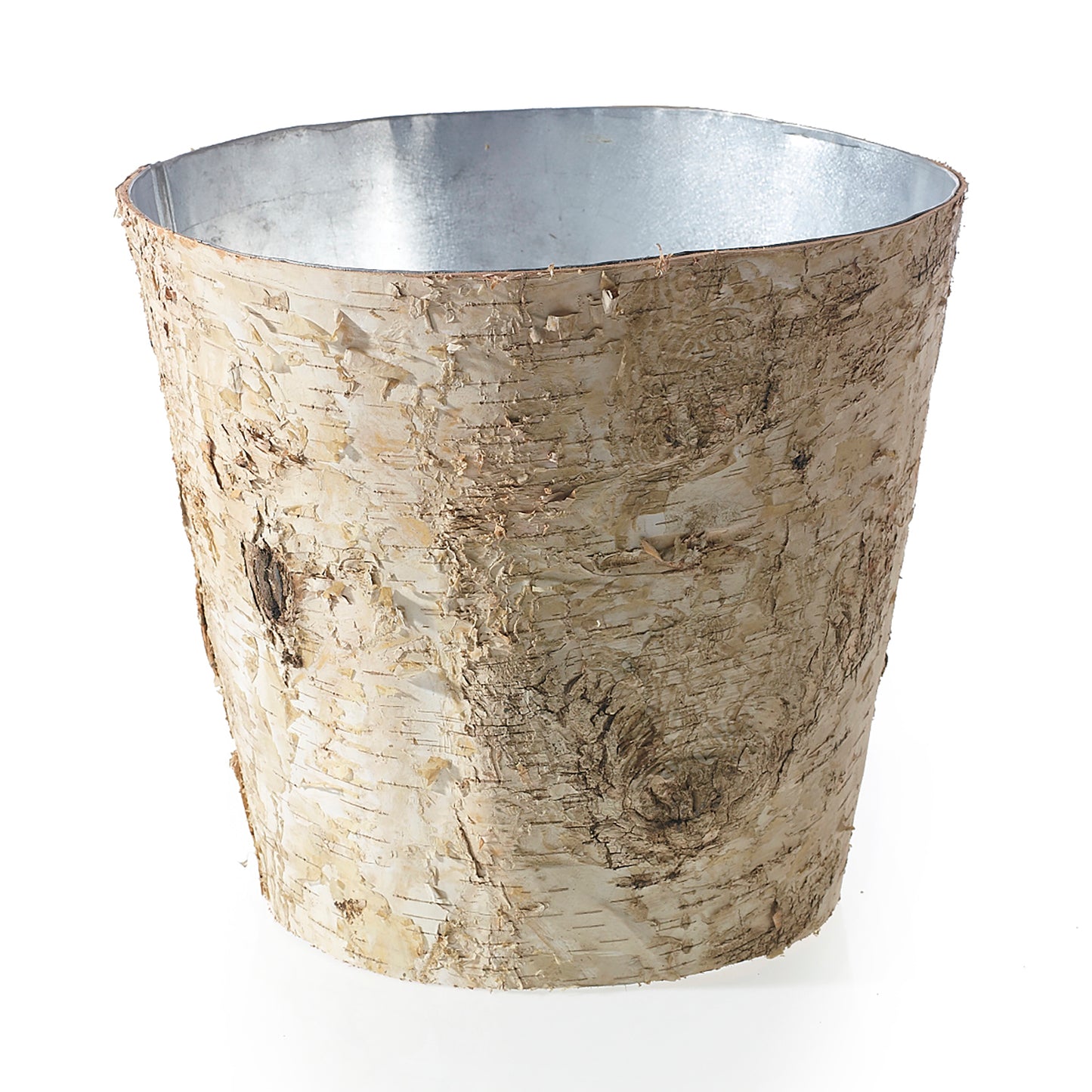Birch Collection with Zinc