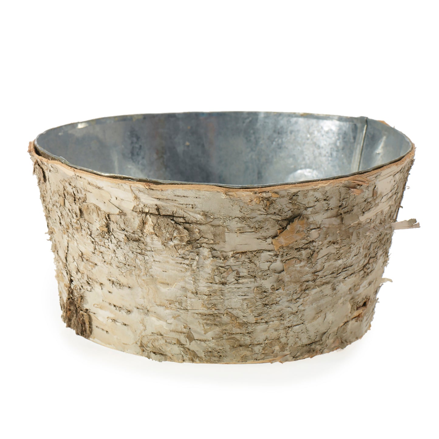 Birch Collection with Zinc