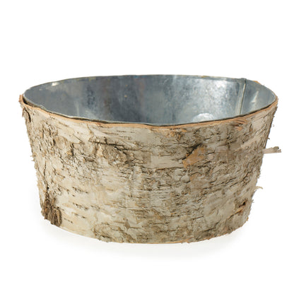Birch Collection with Zinc