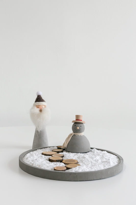 Birch and Wood Slices