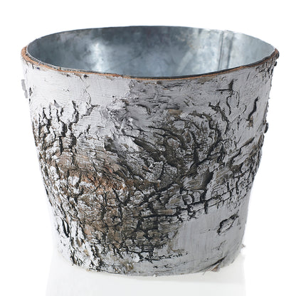 White Birch Pot w/ Zinc