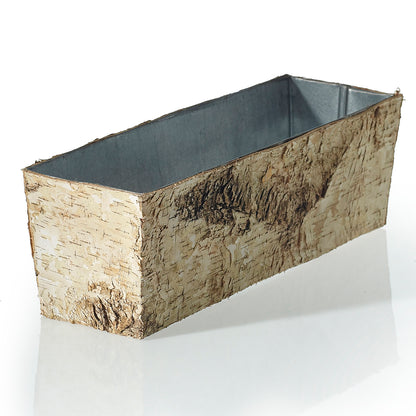 Birch Collection with Zinc