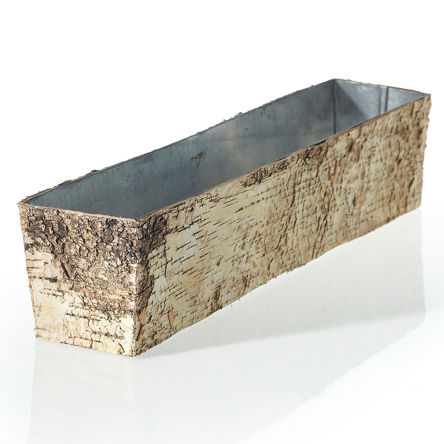 Birch Collection with Zinc