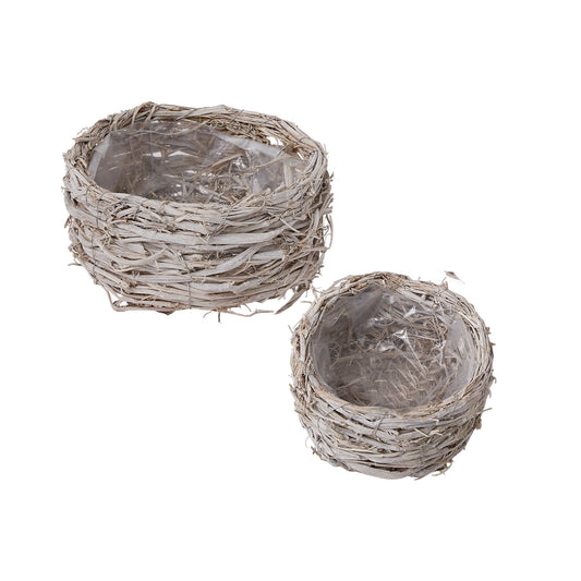 Spruce Planter - Set of 2