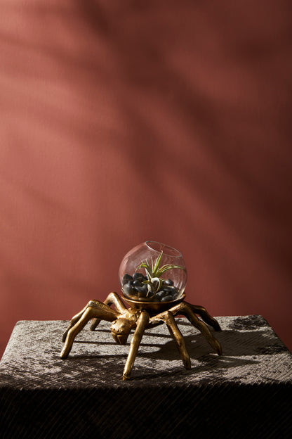 Arachnid Collection