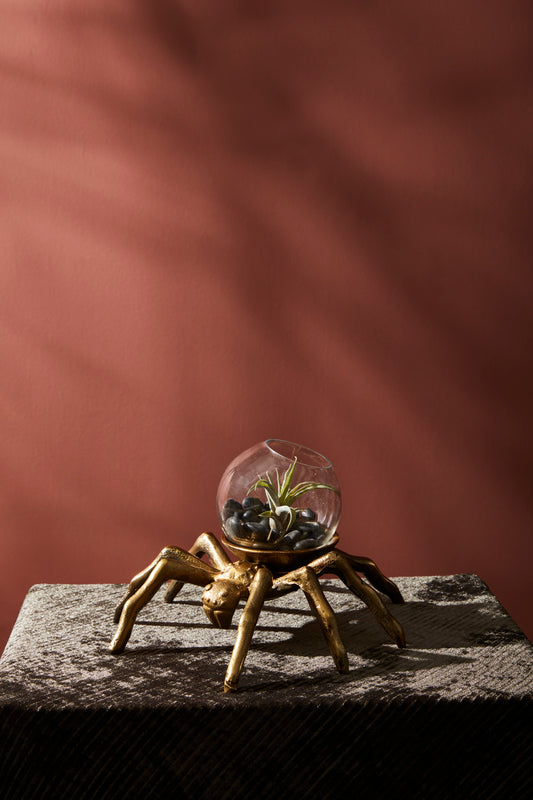 Arachnid Collection