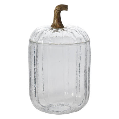 Translucent Pumpkin Terrarium