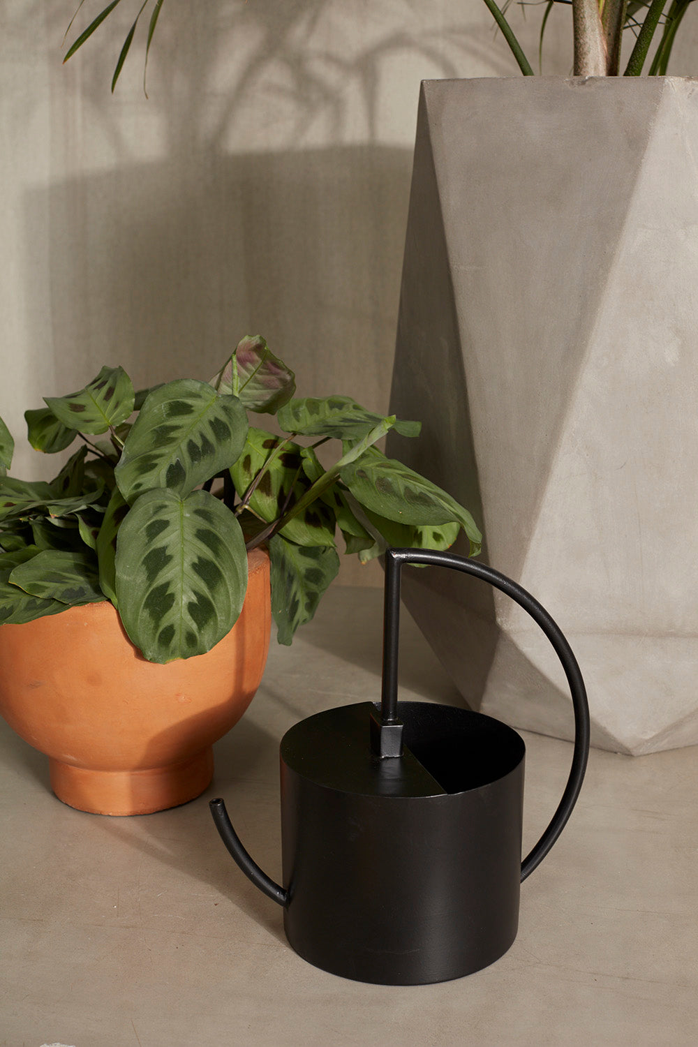 Radius Watering Can