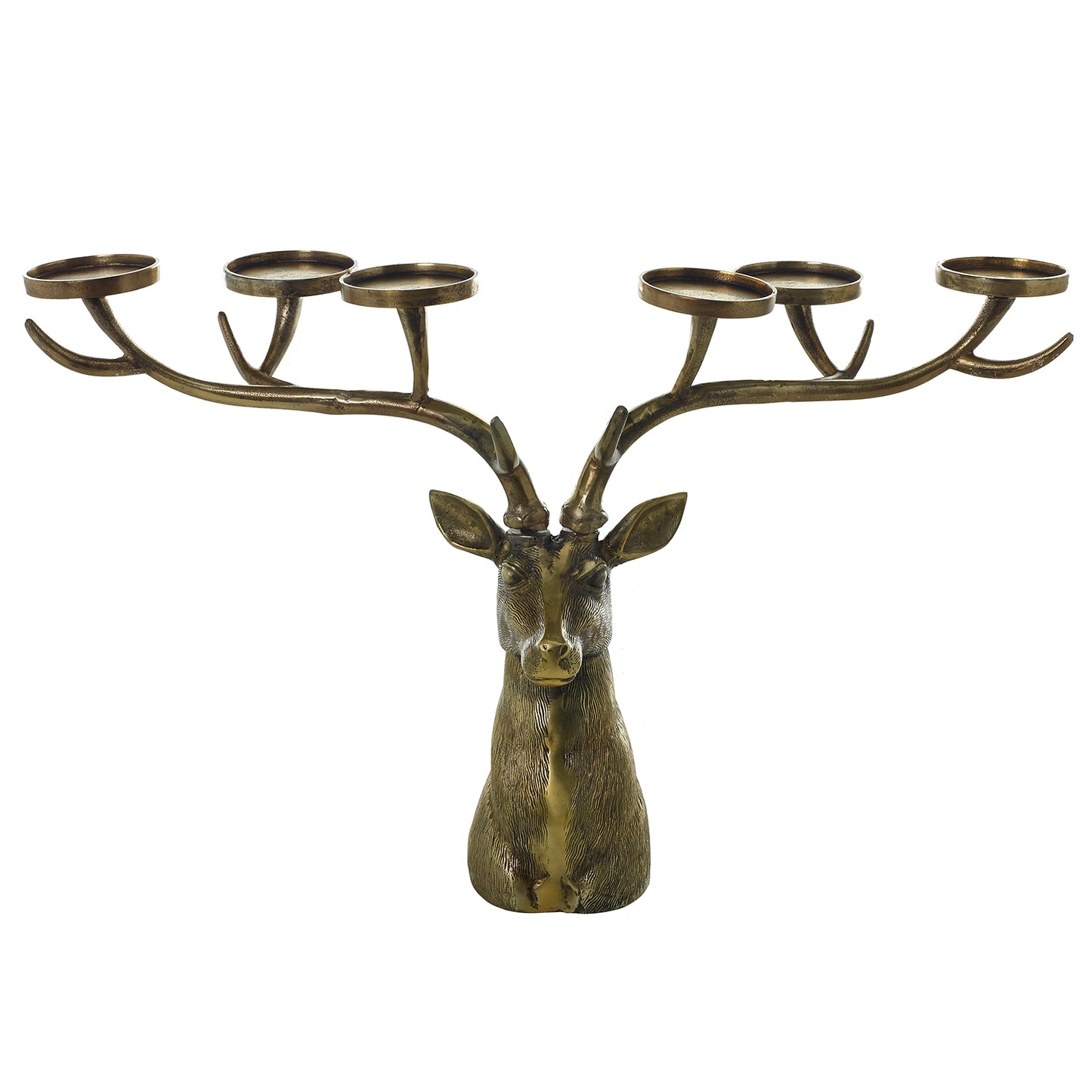 Stag Collection