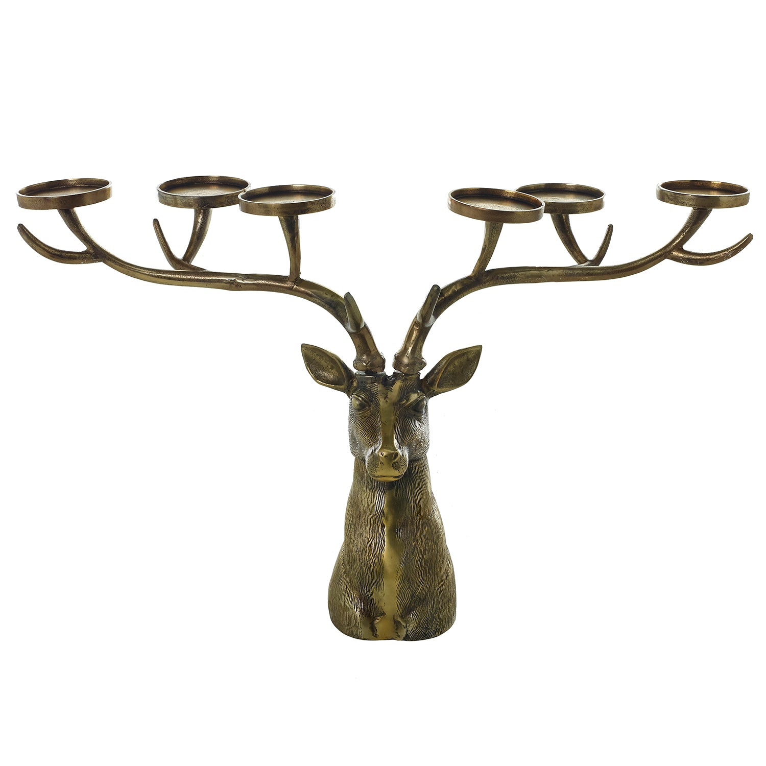 Stag Collection