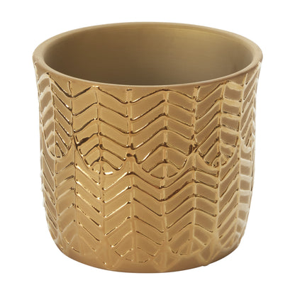Aurum Collection