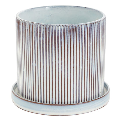 Curio Pot