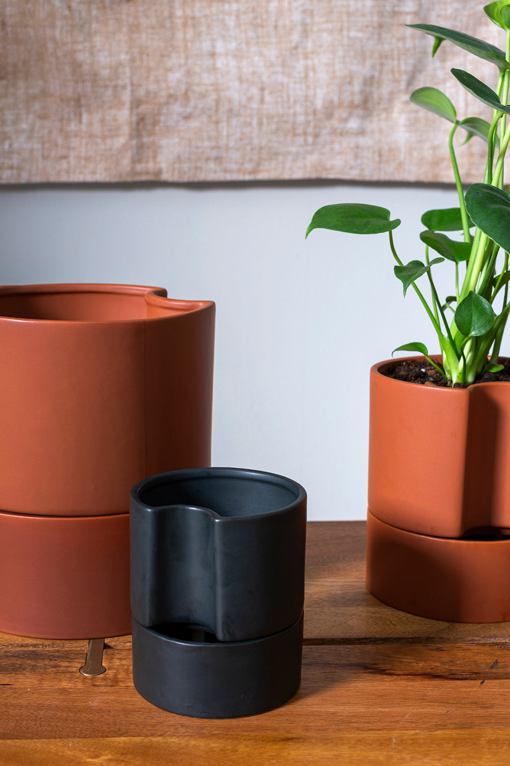 Jett Pot
