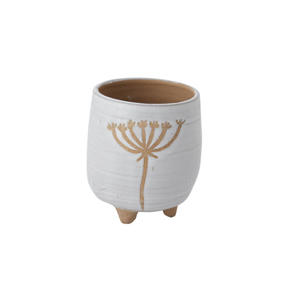 Umbel Collection