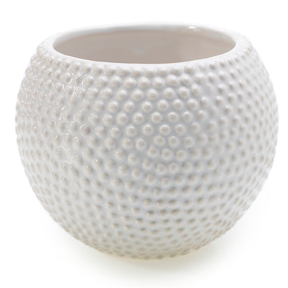 Spotti Pot