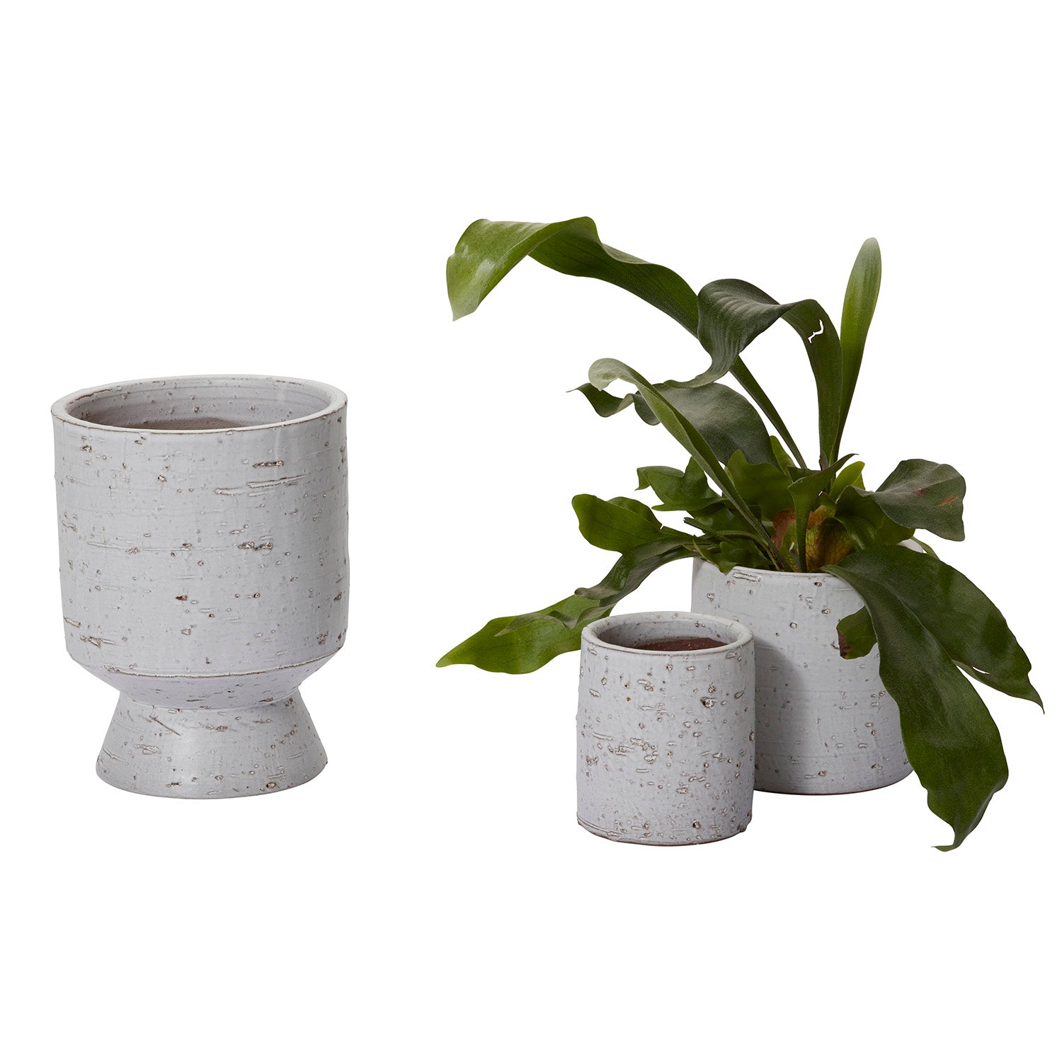 Adelhart Footed Pot