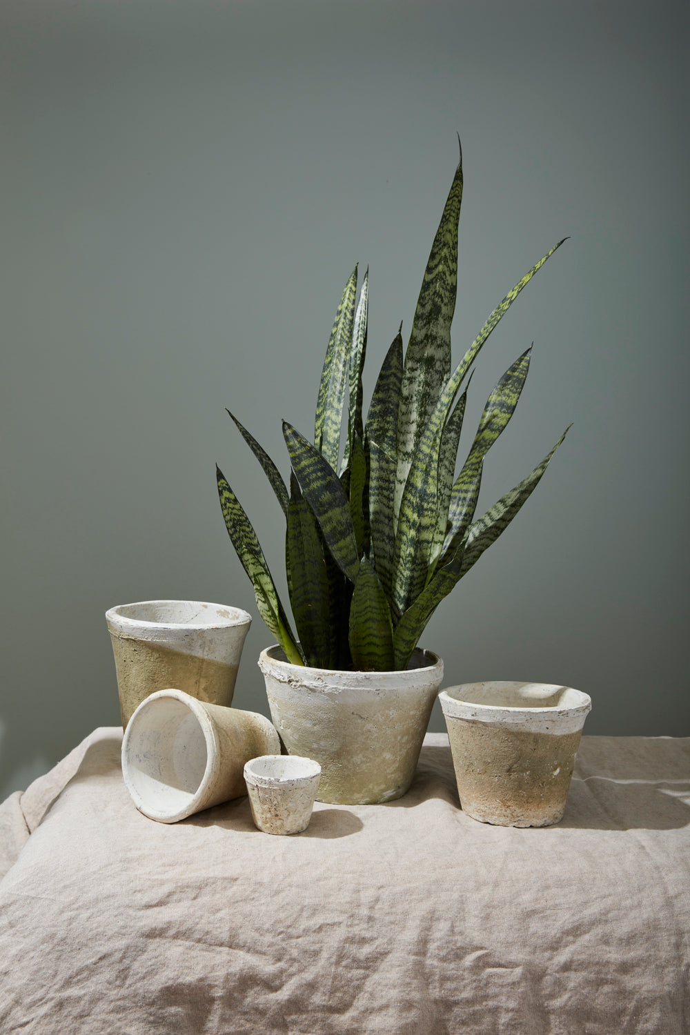 Antique White Pot