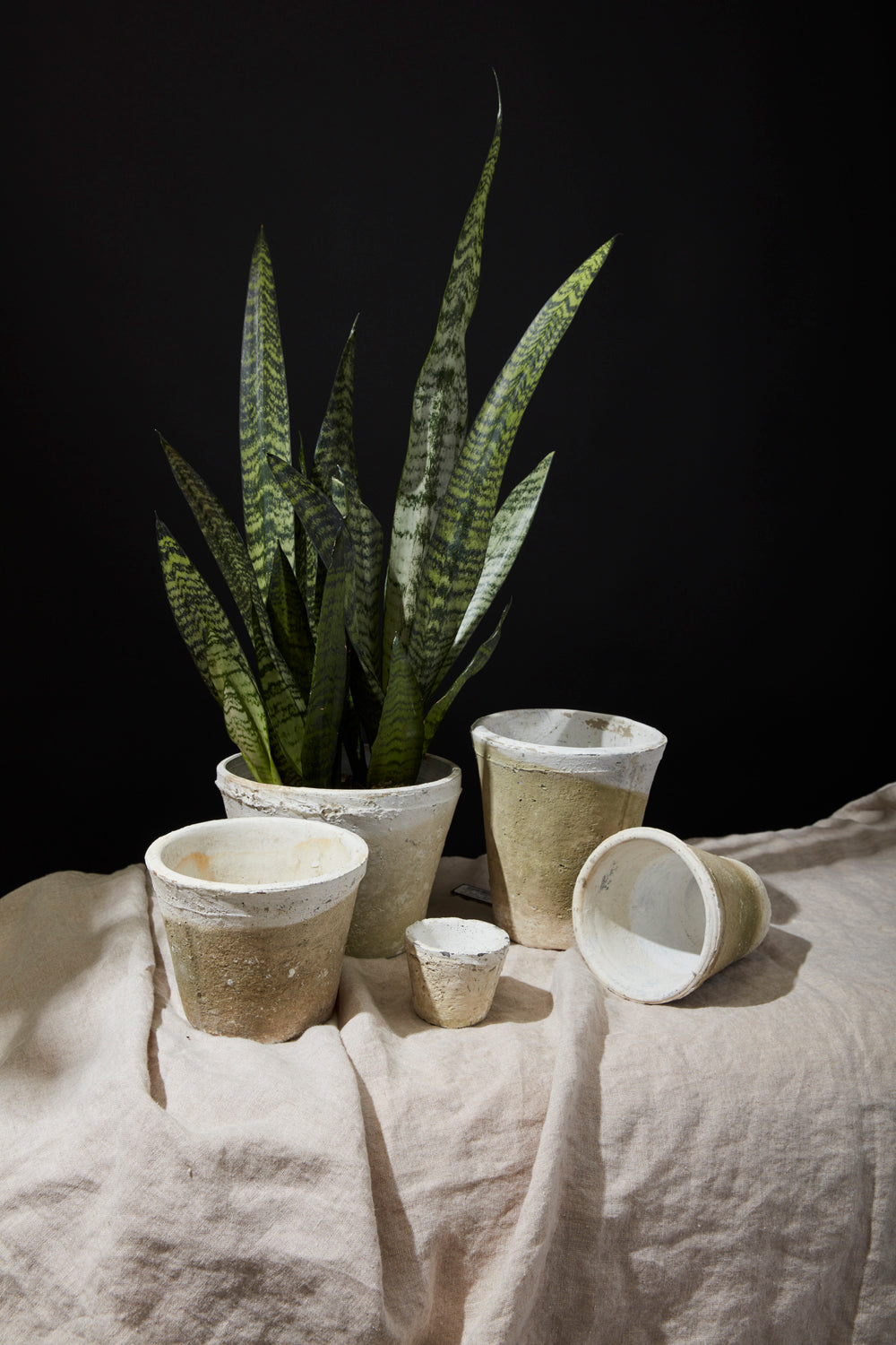 Antique White Pot