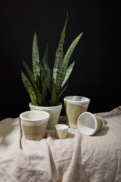Antique White Pot