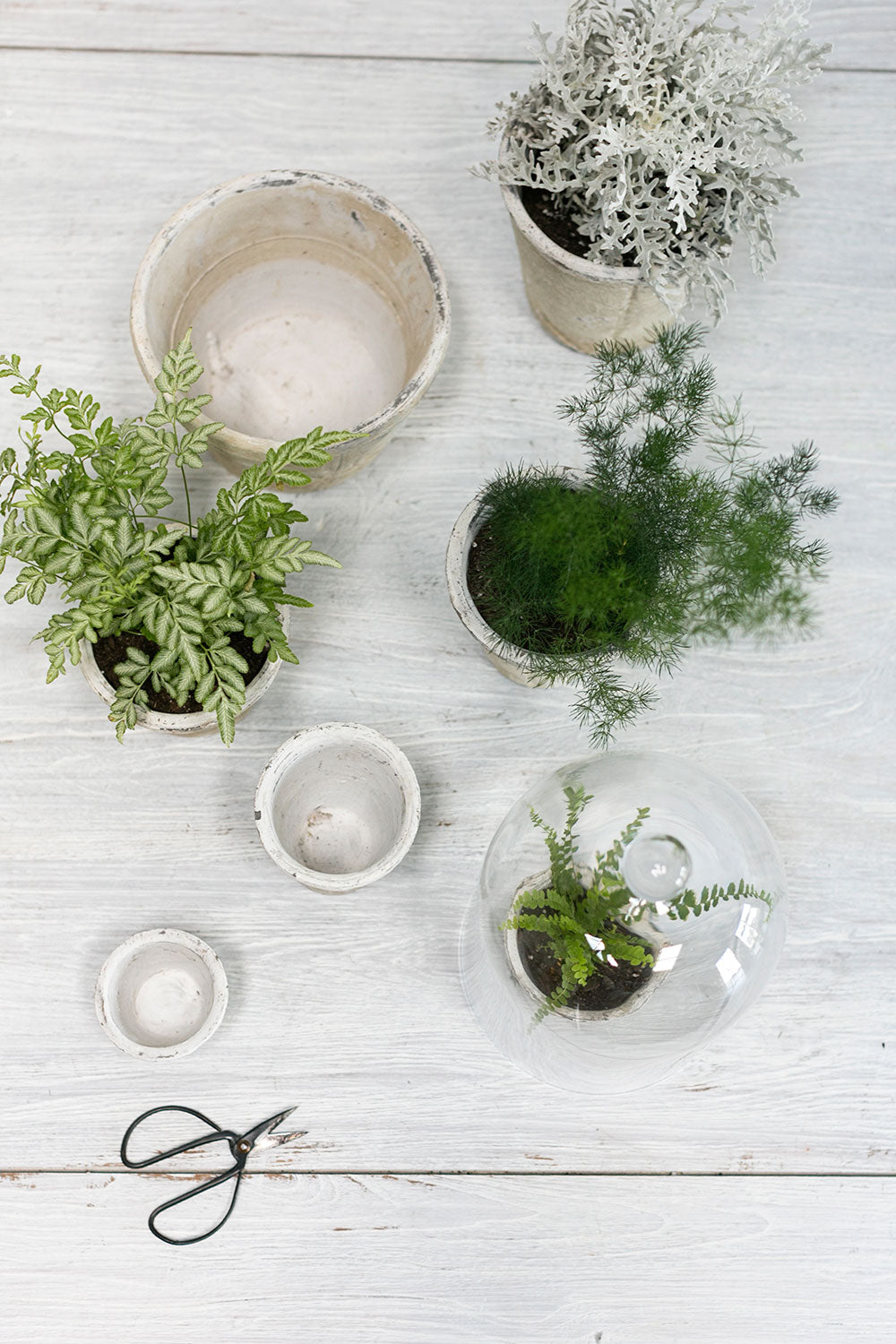 Antique White Pot