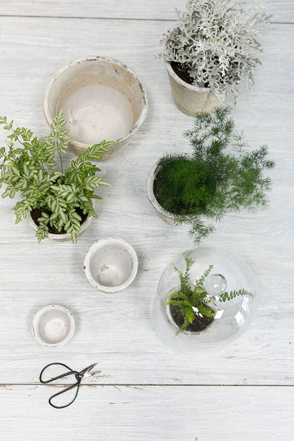 Antique White Pot