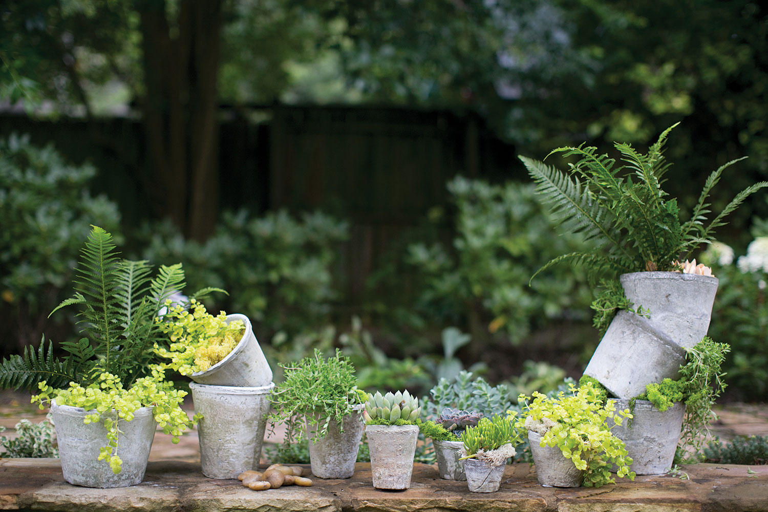 Antique White Pot