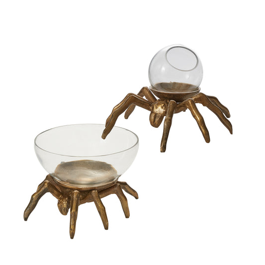 Arachnid Collection